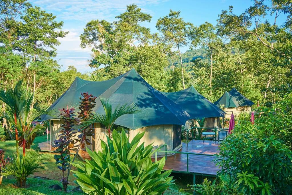 Manoas Bed & Breakfast Uvita Exterior photo
