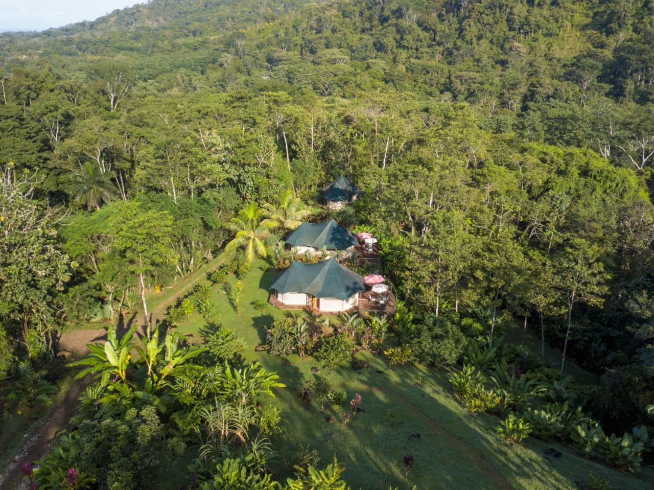 Manoas Bed & Breakfast Uvita Exterior photo